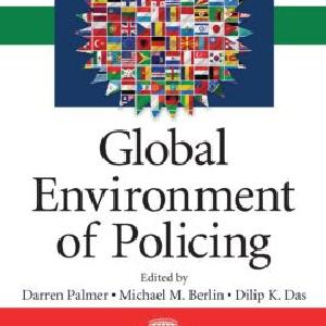 Global Environment of Policing Websites Online
