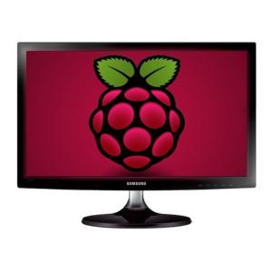 19.5 HDMI Display for Raspberry Pi Shipping Outlet Store Online