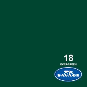 Savage 26-Inch x 12-Yards Widetone Seamless Background Paper, Evergreen Discount Release Dates