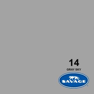 Savage 107-Inch x 50-Yards Widetone Seamless Background Paper, Gray Sky Sale Lowest Pice