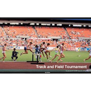 SHARP PN- VC862HNS 86 INTERACTIVE Touch Display For Cheap Sale Online