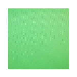 Savage 8x10 Matte Finish Chroma Green Infinity Solid Vinyl Backdrop - In Store Pick Up Only Cheap Sale Amazon