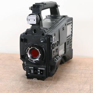 Panasonic AG-HPX600P P2 HD Shoulder-Mount Camcorder Recommend For Sale