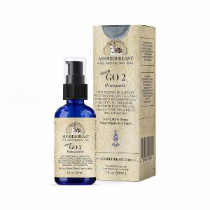 Your Go 2 Clearance 2025