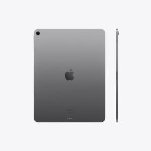 13 inch iPad Air Wi Fi Cellular (Space Grey) Professional