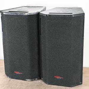 Apogee Sound AE-5 Arrayable Loudspeaker (PAIR) Sale Hot Sale
