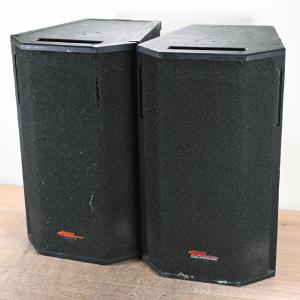 Apogee Sound AE-5 Arrayable Loudspeaker (PAIR) Cheap Sale From China