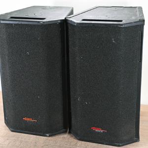 Apogee Sound AE-5 Arrayable Loudspeaker (PAIR) Latest Collections Sale Online
