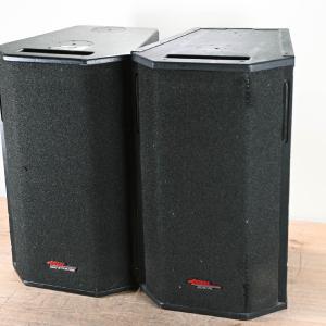 Apogee Sound AE-5 Arrayable Loudspeaker (PAIR) Huge Surprise