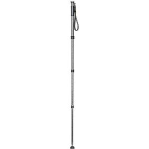 Gitzo GM2542 Series 2 Carbon Fiber Monopod Fashionable Online