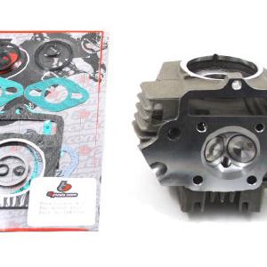 Race Head ONLY Enjoy Online