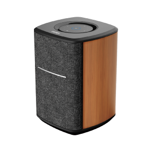 MS50A Wireless Smart Speaker with Multi-Room Connectivity Order Cheap Pice