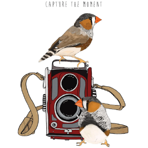 Capture the Moment Card Sale Footlocker Finishline