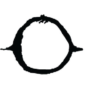 Exchange or Replacement Shipping Clearance For Cheap