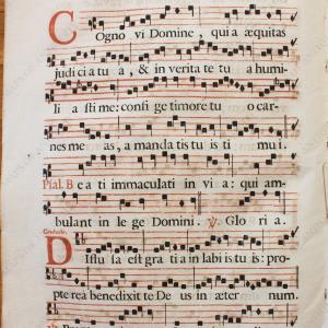 16th century - Antique Sheet Music - Pro nec Virgine nec Martyre. Introitus. - Antique Free Shipping For Nice