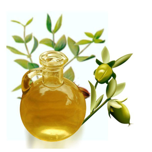 16 Oz Pure Jojoba Oil Websites For Sale