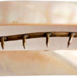 Vintage Mother of Pearl Hair Brooch Clip Clearance Recommend