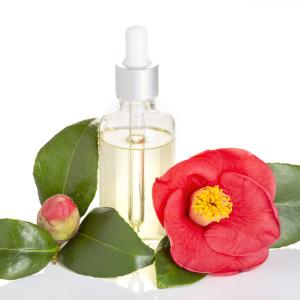 Camellia Oil (refined) (Kissi) Free Shipping Reliable