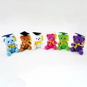 Graduation Teddy Bear Free Shipping 2025 New