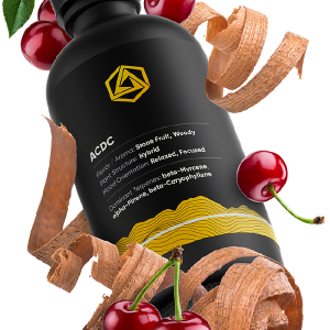 ACDC Official Sale Online