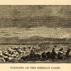 1882 Steel Engraving Dog Sledging Sledding Siberian Coast Arctic Explorers XGW9 Free Shipping Official