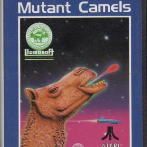 Attack of the Mutant Camels (In doos) Looking For
