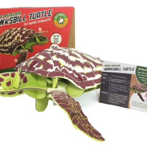 Build Your Own Mini Build Sea Turtle 2025 New