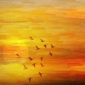 Night Flight 2 2025 New