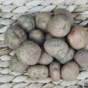 Ziemniaki drobne Irga EKO 3 kg Free Shipping Manchester Great Sale