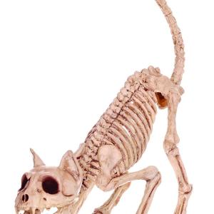 Seasons Z28043 Halloween Skeleton Cat, Bone,  7" H x 6" W x 20" L Low Cost For Sale