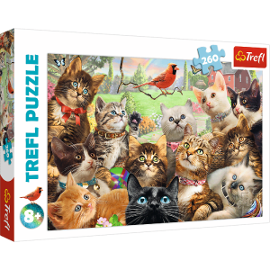 TREFL 260 PIECE PUZZLE KITTENS Big Discount Online