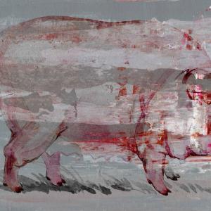 Red Pig New For Sale