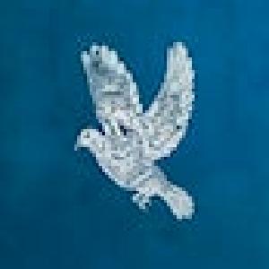 Magic Shipping Discount Sale