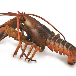 Collecta Lobster Cheap Sale Countdown Package