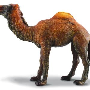 Collecta Dromedary Camel Figure (Yellow) Real For Sale