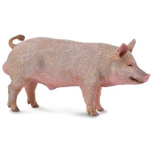 Collecta Boar (Red) Sale Classic