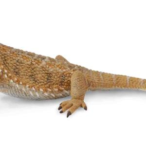 Collecta Bearded Dragon Lizard Figure (Yellow) Best Pices For Sale