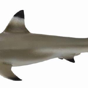 Collecta Blacktip Reef Shark (Red) Free Shipping Big Discount