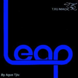 LEAP by Agus Tjiu Inexpensive For Sale