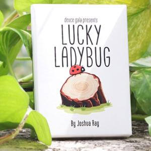Lucky Ladybug by Joshua Ray & Deuce Gala Magic Cheap Pice Wholesale