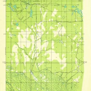 1931 Seney, MI - Michigan - USGS Topographic Map Free Shipping Fake
