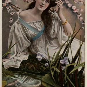 Zena Dare Greetings Card Order