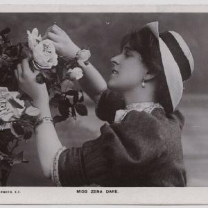 Zena Dare Greetings Card Cheap Sale Lowest Pice