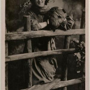 Zena Dare Greetings Card Cheap Wholesale