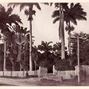 1897 Halftone Print St. Ann Road Trinidad Tobago Streetscape Historic XGQA9 Websites For Sale