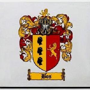 Bos Family Shield / Coat Of Arms Mouse Pad Pick A Best
