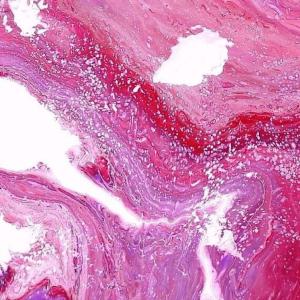 Flow of Color Discount Big Discount