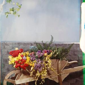 Wheelbarrow with spring flowers Greetings Card Sale Lowest Pice