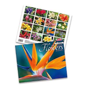 2024 Trade Calendar - Flowers of Hawai'i Quality Free Shipping Outlet