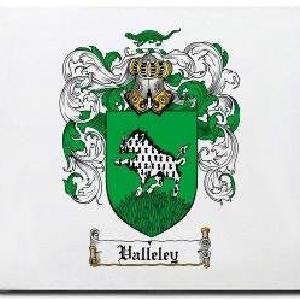 Valleley Family Shield / Coat Of Arms Mouse Pad Brand New Unisex